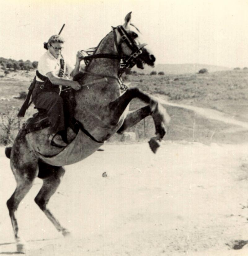 תמונה של ציפורה זייד הפמיניסטית הראשונה רוכבת על סוס