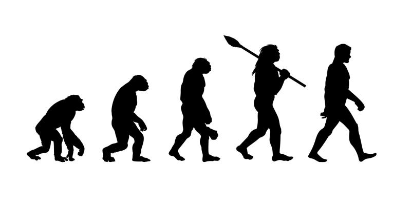 תורת האבולוציה: האם היא מדעית או תאוריה בלבד?
