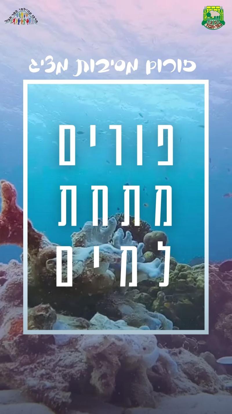 פורים מתחת למים